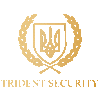 TRIDENT SECURITY SOLUTIONS LTD