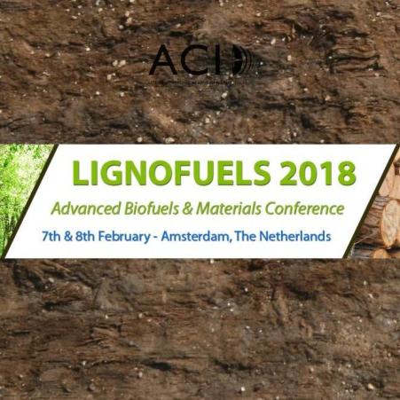 LIGNOFUELS 2018: Advanced Biofuels & Materials Conference