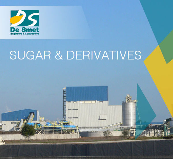 Brochure DSEC Sugar and Derivatives