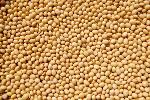 GMO soybeans. 2000 т. Basic quality indicators.
