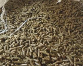animal feed and raw materials